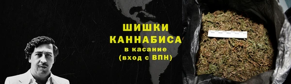 сатива Богородицк