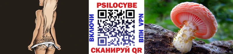 купить наркотик Няндома Галлюциногенные грибы Cubensis